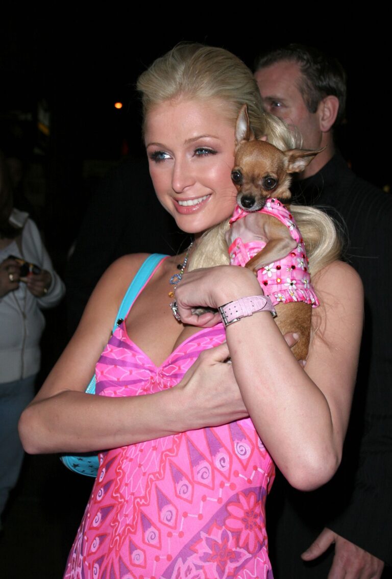 Top Fashion Tampilan Minggu Ini: Apakah Demi Moore membawa kembali tas tangan anjingnya?